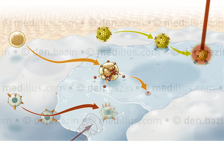 Les nanomédicaments