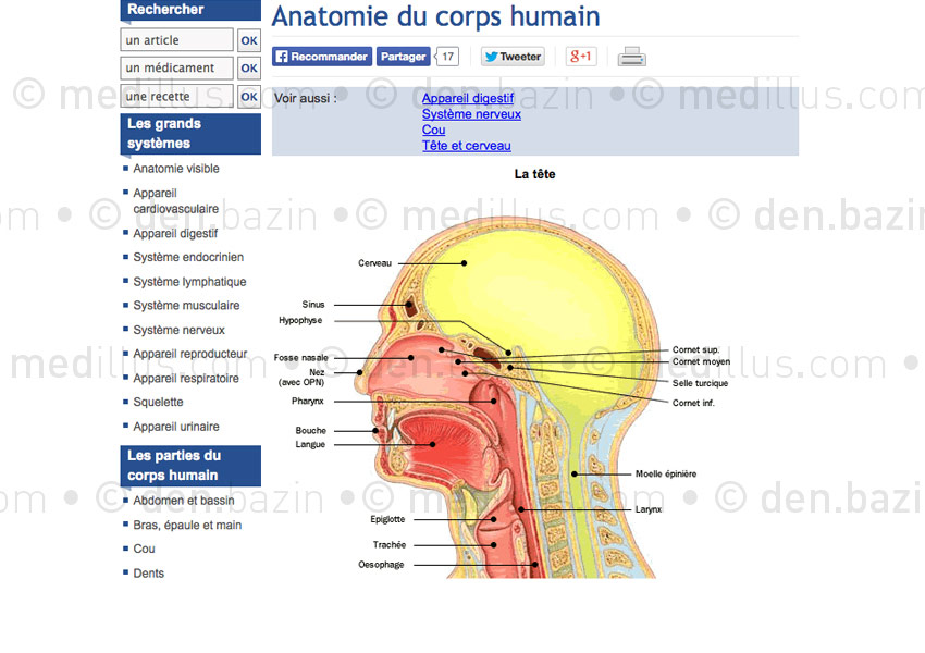 Exemple de page du site Doctissimo