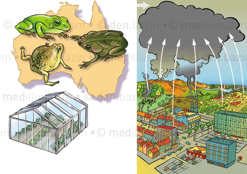 Pollutions environnementales