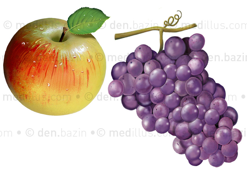 Pomme, raisin