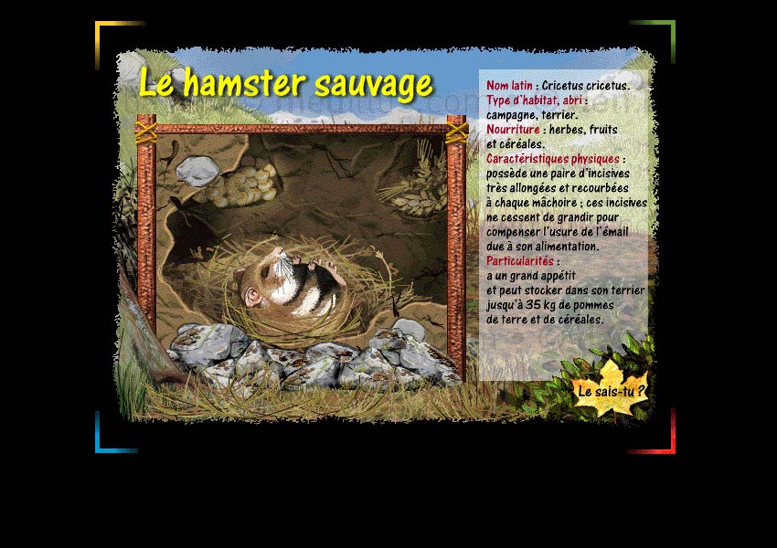 Page Le hamster sauvage