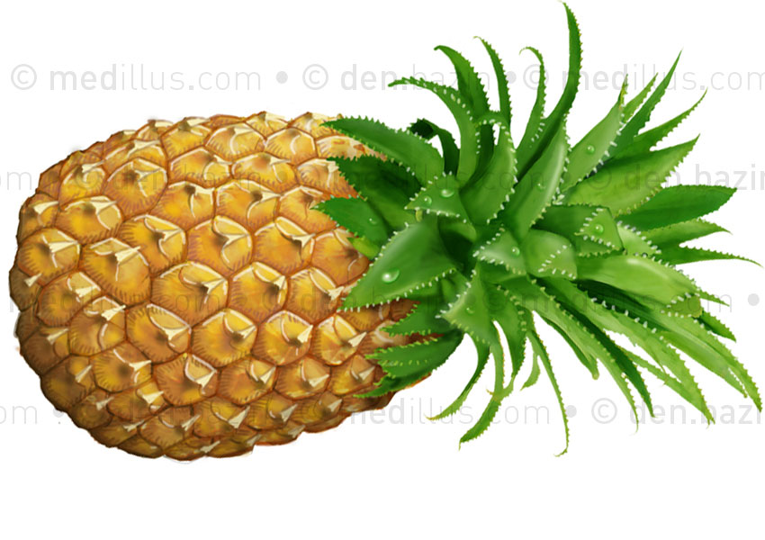 Ananas