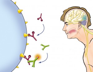 Biologie 3ème