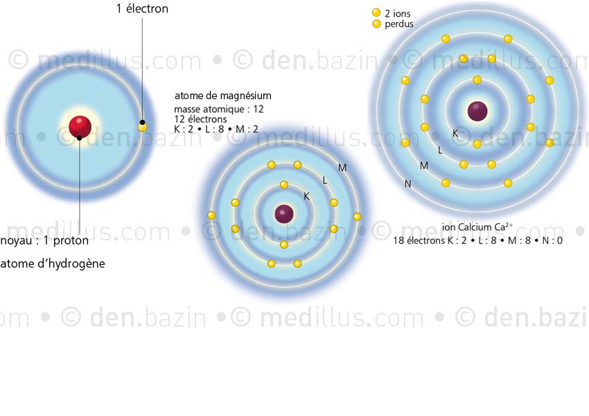 Atomes d'hydrogène, de magnésium, ion calcium