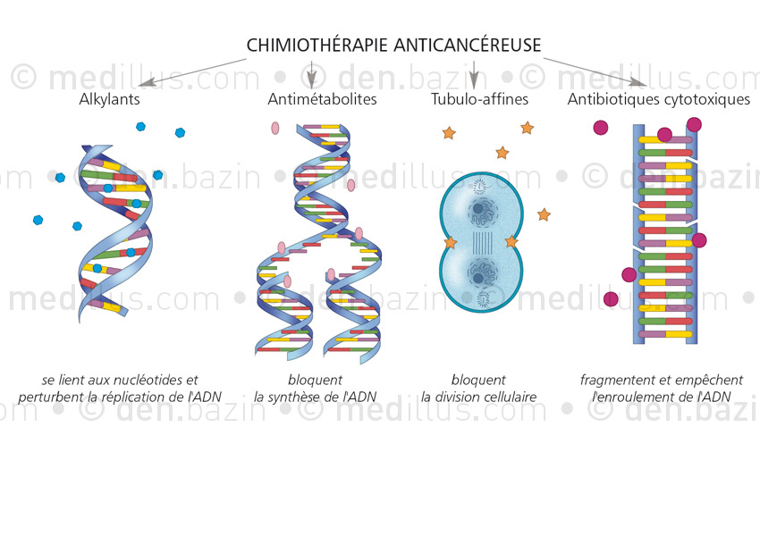 Modes d'action des chimiothérapies géniques